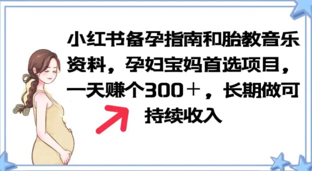 小红书备孕指南和胎教音乐资料 孕妇宝妈首选项目 一天赚个300多-梧桐有术