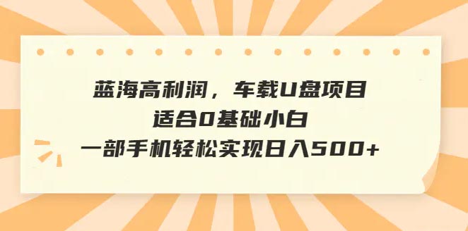 蓝海高利润，车载U盘项目，一部手机轻松实现日入500+-梧桐有术