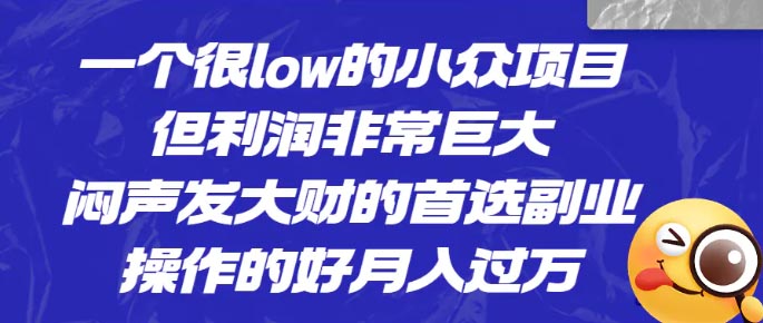 小众项目，但利润非常巨大，闷声发大财的首选副业，月入过万-梧桐有术