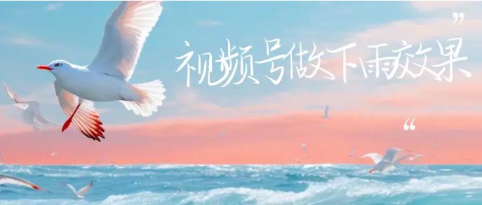视频号做下雨视频一个账号一周涨粉10W+年入100w-梧桐有术