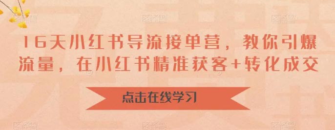 小红书 导流接单营，教你引爆流量，在小红书精准获客+转化成交-梧桐有术