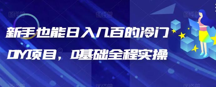 新手也能日入几百的冷门DIY项目，0基础全程实操【揭秘】-梧桐有术