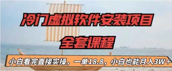 冷门虚拟软件安装项目，一单18.8，小白也能月入3W＋-梧桐有术