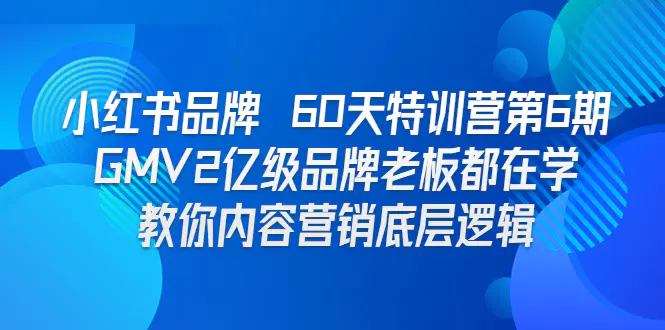 小红书品牌 60天特训营第6期 GMV2亿级品牌老板都在学 教你内容…-梧桐有术