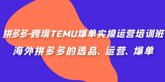 拼多多-跨境TEMU爆单实操运营培训班，海外拼多多的选品…-梧桐有术