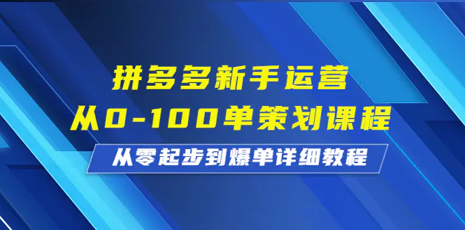 拼多多新手运营从0-100单策划课程，从零起步到爆单详细教程-梧桐有术