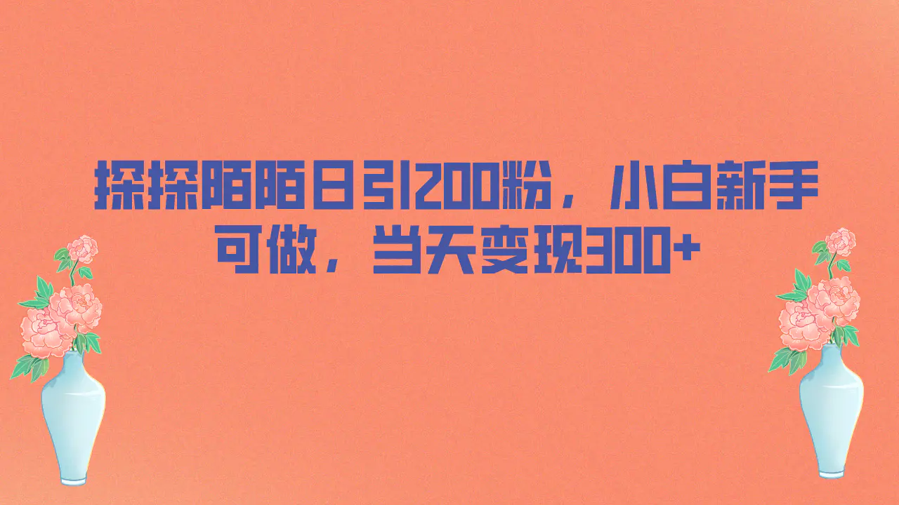 探探陌陌日引200粉，小白新手可做，当天就能变现300+-梧桐有术