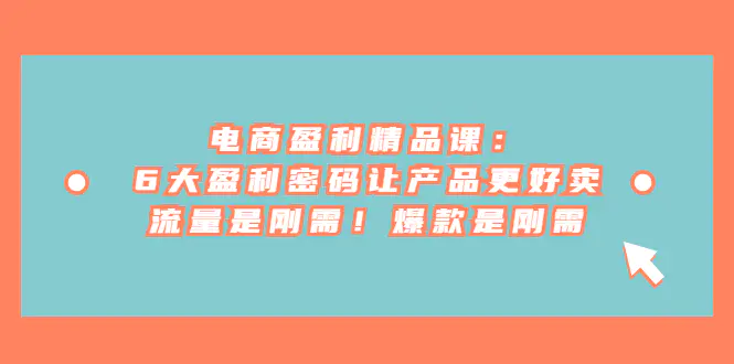 电商 盈利精品课：6大盈利 密码让产品更好卖，流量是刚需！-梧桐有术