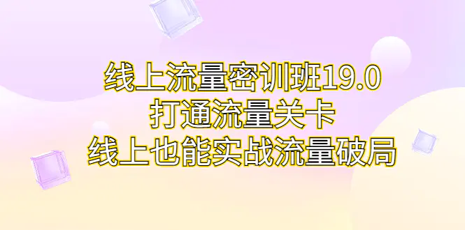 线上流量密训班19.0，打通流量关卡，线上也能实战流量破局-梧桐有术
