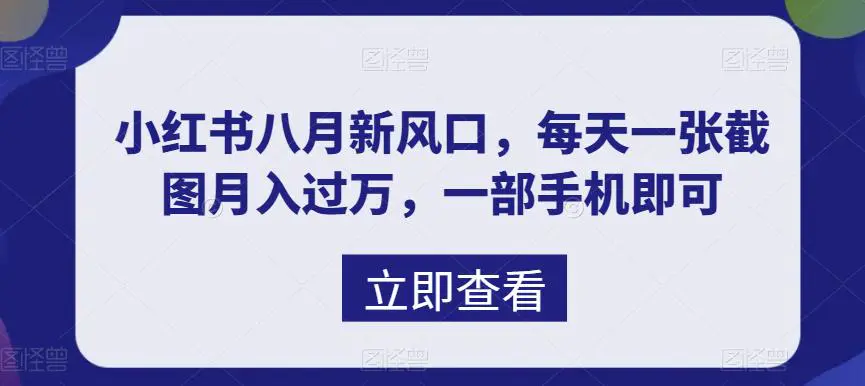 八月新风口，小红书虚拟项目一天收入1000+，实战揭秘-梧桐有术