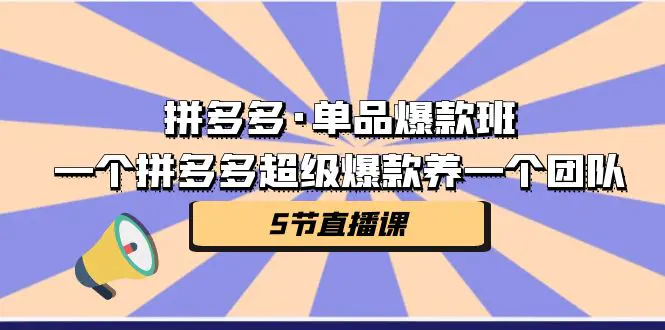 拼多多·单品爆款班，一个拼多多超级爆款养一个团队（5节直播课）-梧桐有术