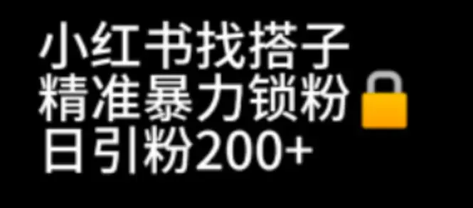 小红书找搭子暴力精准锁粉+引流日引200+精准粉-梧桐有术