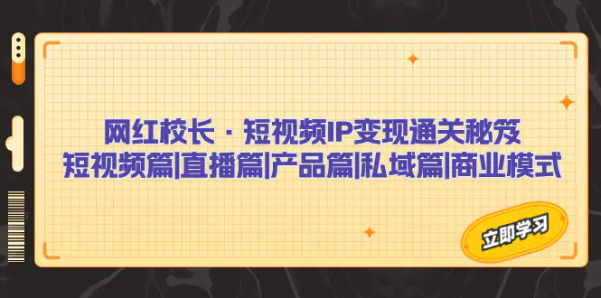 短视频IP变现通关秘笈：短视频篇+直播篇+产品篇+私域篇+商业模式-梧桐有术