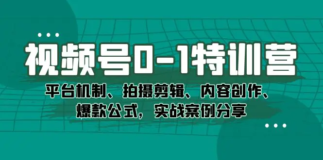 视频号0-1特训营：平台机制、拍摄剪辑、内容创作、实战案例分享-梧桐有术