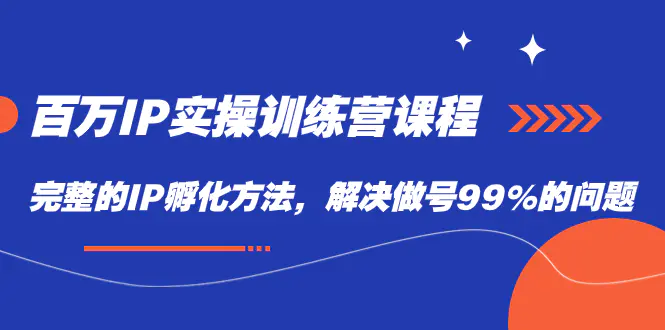 百万IP实战训练营课程，完整的IP孵化方法，解决做号99%的问题-梧桐有术
