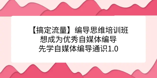 【搞定流量】编导思维培训，成为优秀自媒体编导先学自媒体编导-梧桐有术