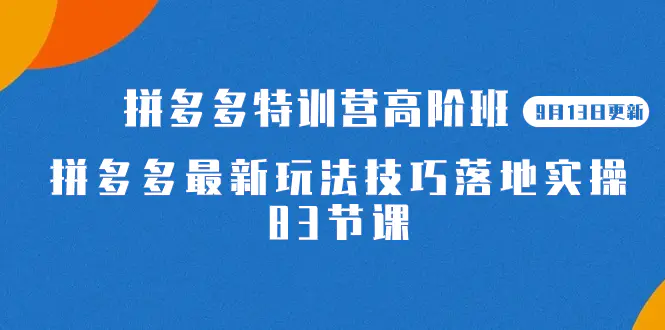 2023拼多多·特训营高阶班 拼多多最新玩法技巧落地实操-83节-梧桐有术