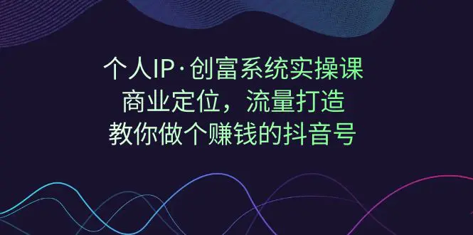 个人IP·创富系统实操：商业定位，流量打造，教你做个赚钱的抖音号-梧桐有术