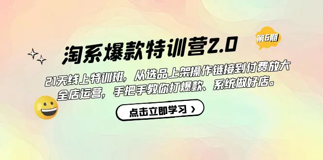 从选品上架到付费放大 全店运营 打爆款 做好店-梧桐有术