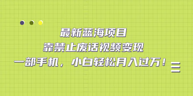 最新蓝海项目，靠禁止废话视频变现，一部手机，轻松月入过万！-梧桐有术