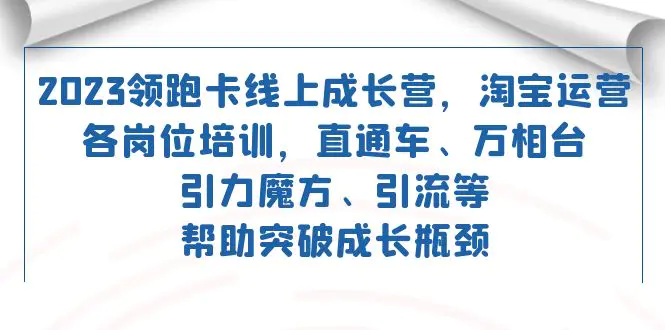 领跑·卡 线上成长营 淘宝运营各岗位培训 直通车 万相台 引力魔方-梧桐有术