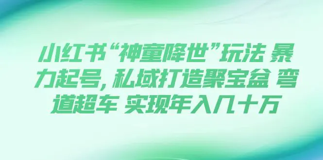 小红书“神童降世”玩法 暴力起号,私域打造聚宝盆 实现年入几十万-梧桐有术