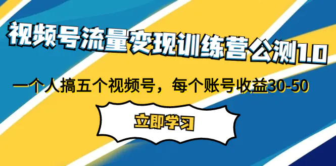 视频号流量变现1.0：一个人搞五个视频号，每个账号收益30-50-梧桐有术