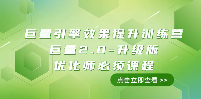 巨量引擎·效果提升训练营：巨量2.0-升级版，优化师必须课程-梧桐有术