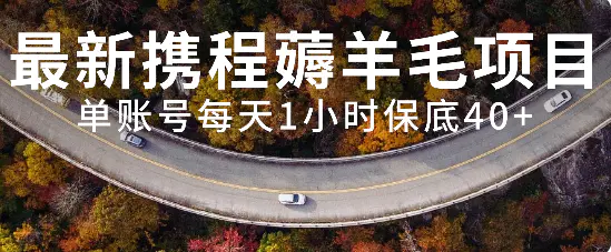 最新携程薅羊毛项目，单账号每天1小时保底收益40+，可矩阵操作-梧桐有术