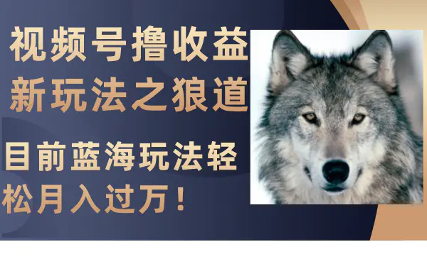 视频号撸收益新玩法之狼道，目前蓝海玩法轻松月入过万！-梧桐有术