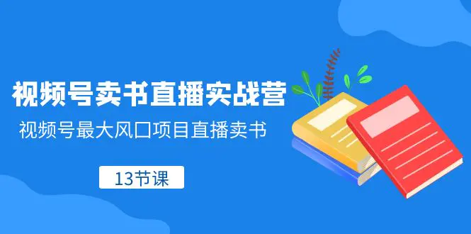 视频号-卖书直播实战营，视频号最大风囗项目直播卖书（13节课）-梧桐有术