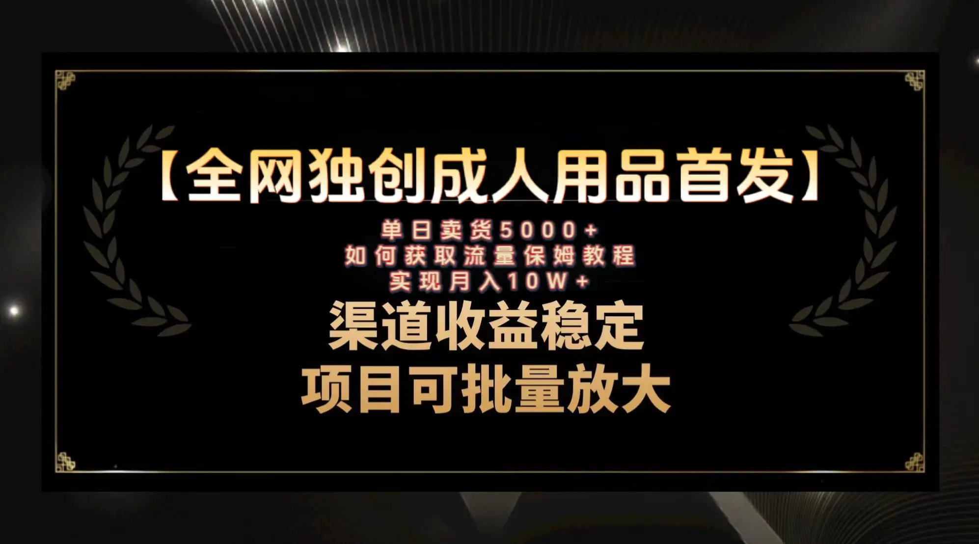 最新全网独创首发，成人用品赛道引流获客，月入10w保姆级教程-梧桐有术