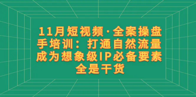 短视频·全案操盘手培训：打通自然流量 成为想象级IP必备要素-梧桐有术