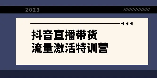 抖音直播带货-流量激活特训营，入行新手小白主播必学-梧桐有术