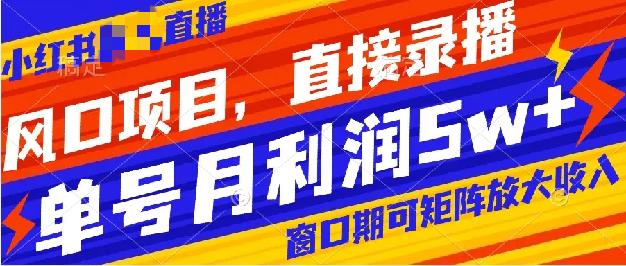 风口项目，小红书无需真人出境的直播带货，可矩阵，月入5w+-梧桐有术