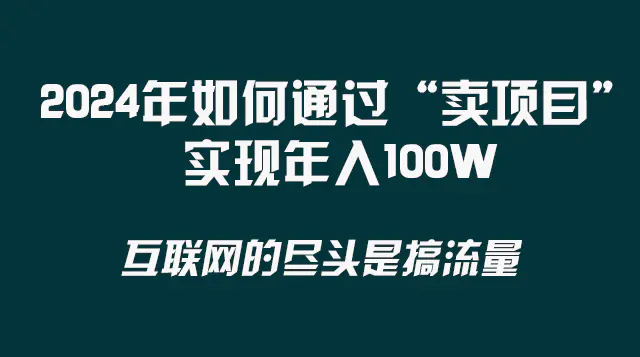 2024年如何通过“卖项目”实现年入100W-梧桐有术