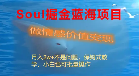 Soul掘金蓝海项目细分赛道，做情感价值变现，月入2w+不是问题-梧桐有术