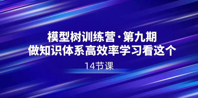 模型树特训营·第九期，做知识体系高效率学习看这个（14节课）-梧桐有术
