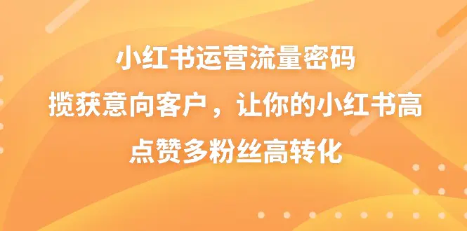 小红书运营流量密码，揽获意向客户，让小红书高点赞多粉丝高转化-梧桐有术