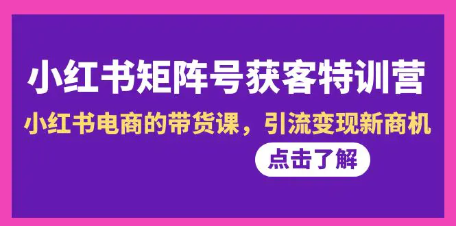 小红书电商的带货课，引流变现新商机-梧桐有术