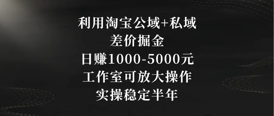 利用淘宝公域+私域差价掘金，日赚1000-5000元，可放大操作…-梧桐有术
