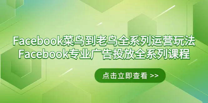 Facebook-菜鸟到老鸟全系列运营玩法+Facebook-专业广告投放-梧桐有术