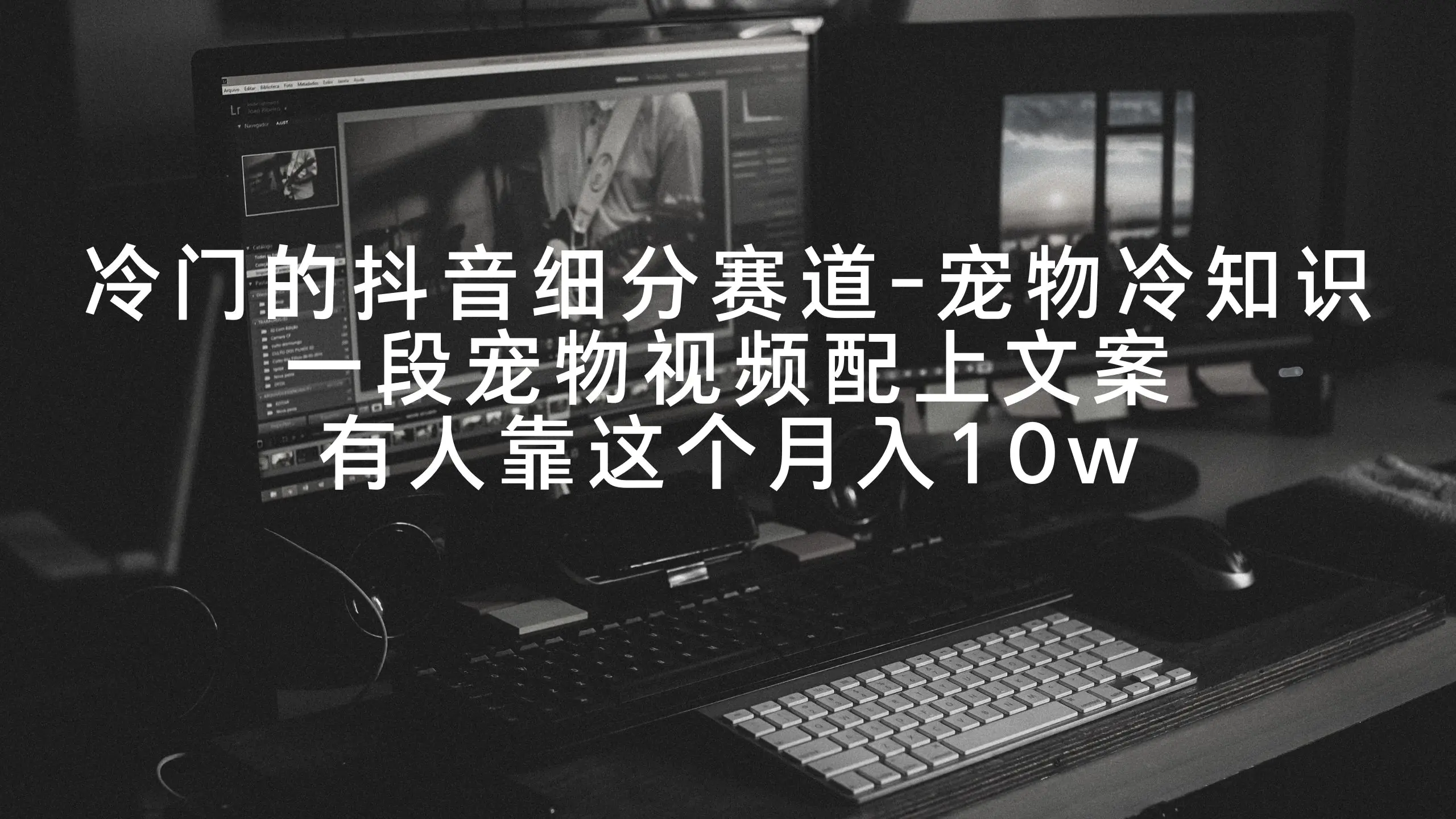 冷门的抖音细分赛道-宠物冷知识，一段宠物视频配上文案，月入10w-梧桐有术