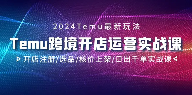 Temu跨境开店运营实战课，开店注册/选品/核价上架/日出千单实战课-梧桐有术