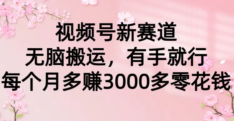 视频号新赛道，无脑搬运，有手就行，每个月多赚3000多零花钱-梧桐有术