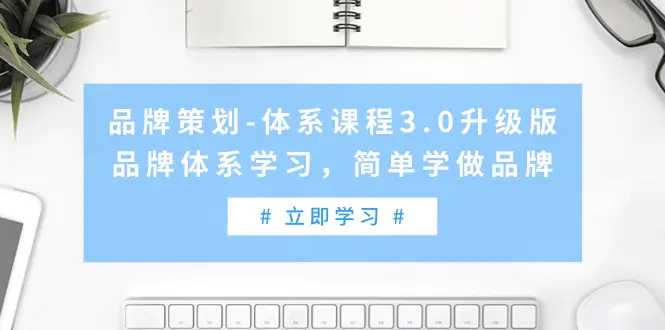 品牌策划-体系课程3.0升级版，品牌体系学习，简单学做品牌-梧桐有术
