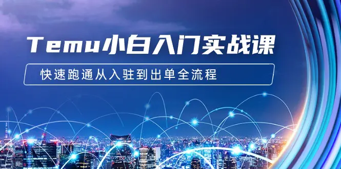 Temu小白入门实战课：跨境拼多多电商培训 从入驻到出单全流程-梧桐有术