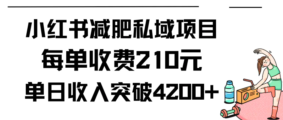 小红书减肥私域项目每单收费210元单日成交20单，最高日入4200+-梧桐有术