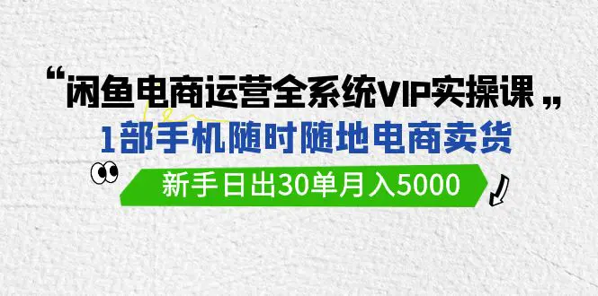 闲鱼电商运营全系统VIP实战课，随时随地卖货，日出30单月入5000-梧桐有术