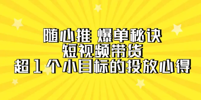 随心推 爆单秘诀，短视频带货-超1个小目标的投放心得-梧桐有术